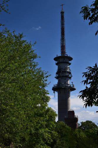 DSC_0720