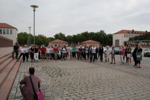 IMG 8813